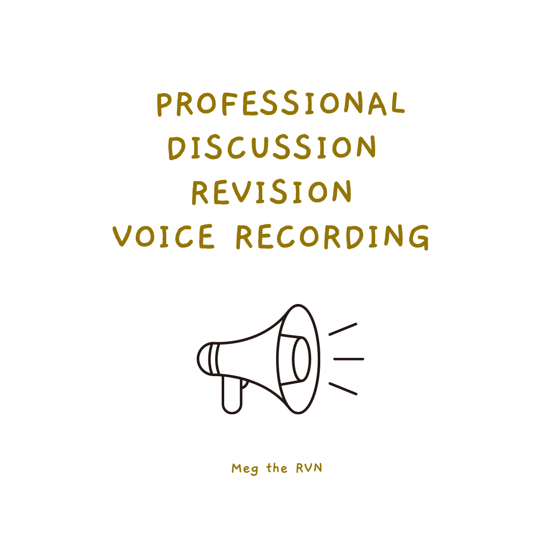 Professional Discussion Voice Recording